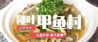 郑州网红美食餐厅甲鱼店,探寻美食与文化的交融之地
