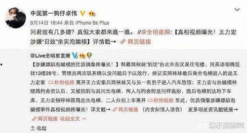 卓伟被爆料视频大全最新,揭秘娱乐圈风云变幻背后的真相