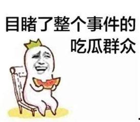 带你吃瓜呀搞笑文案,揭秘“带你吃瓜呀”搞笑文案背后的欢乐秘密