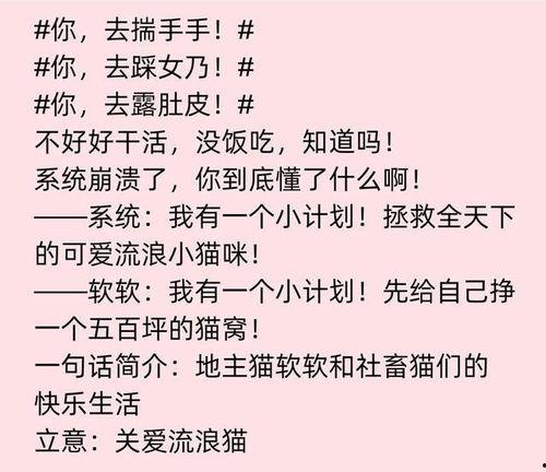 《网红猫咖经营日记》,揭秘网红猫咖的经营秘诀