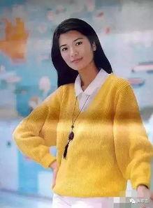 归国明星李,华丽转身，再创辉煌之路