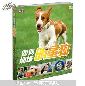 明星训练狗视频大全集,视频大全集精彩呈现