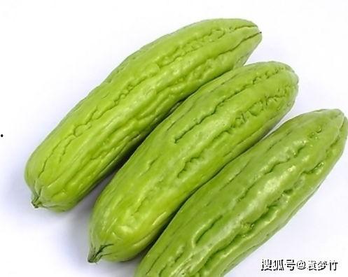 孕妇可以吃的凉瓜,凉瓜美食推荐