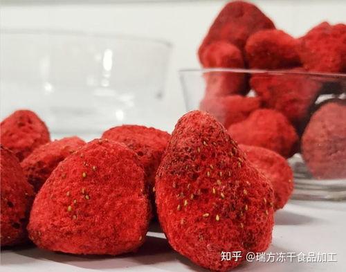 网红冻干套装,轻松解锁健康美味新体验