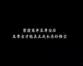 娱乐吃瓜酱伤感语录,揭开娱乐圈背后的泪与痛
